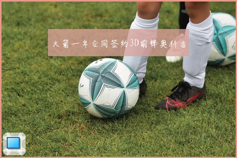 火箭一年合同签约3D前锋奥科吉
