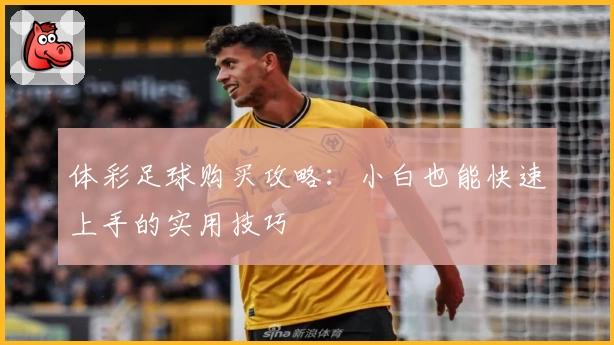 体彩足球购买攻略：小白也能快速上手的实用技巧