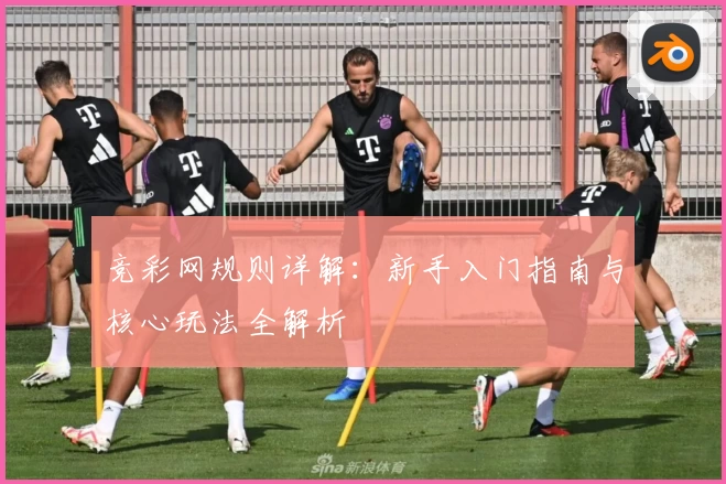 竞彩网规则详解:新手入门指南与核心玩法全解析