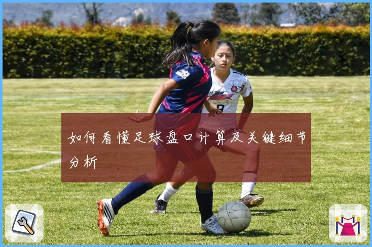 如何看懂足球盘口计算及关键细节分析